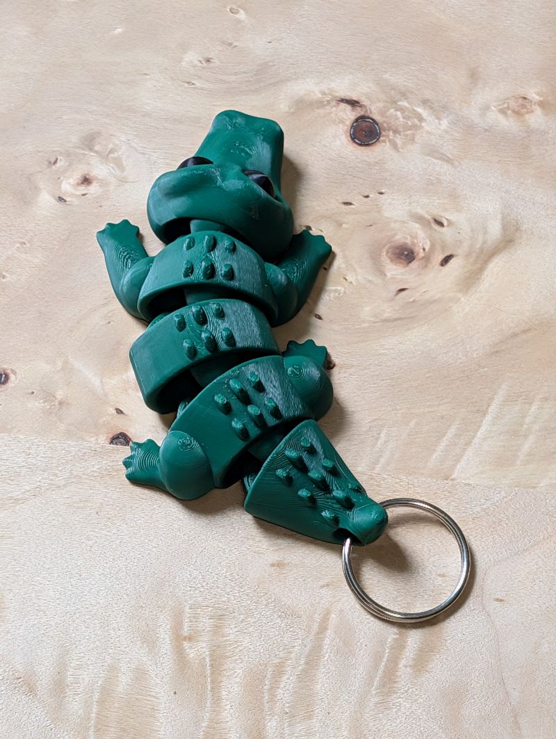 Alligator