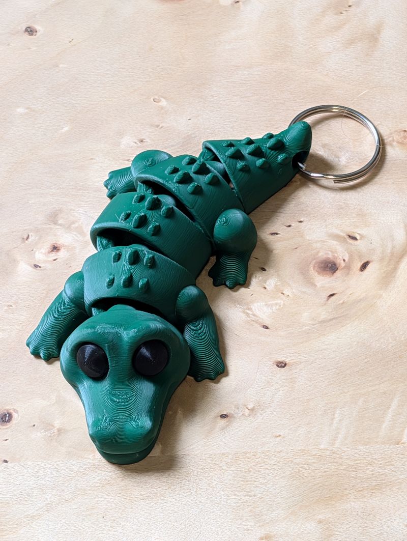 Alligator