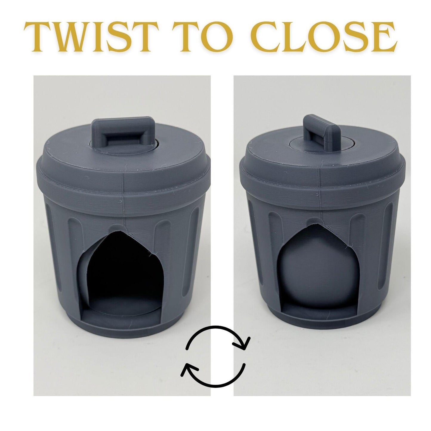Raccoons With Trashcan