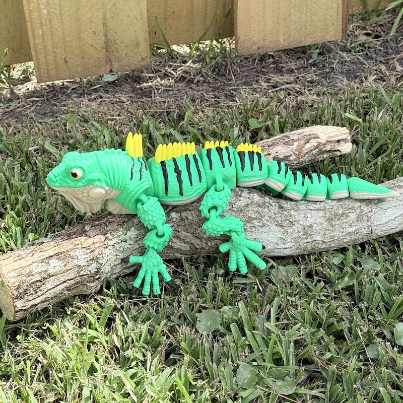 Iguana