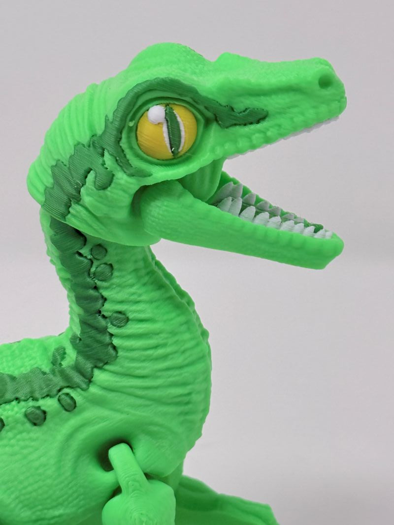 Flexi Raptor