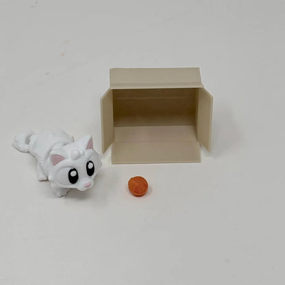 Cat With Box