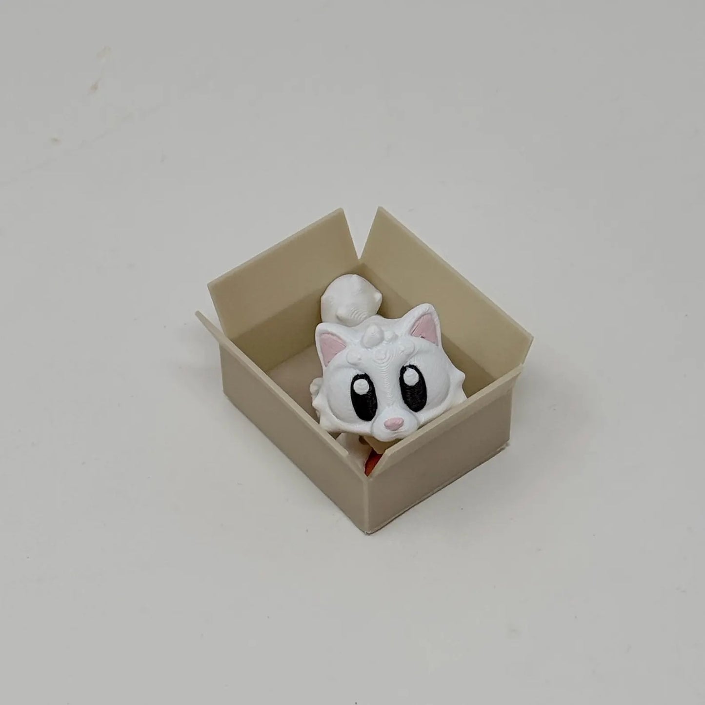 Cat With Box