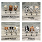 Pet Hospital Play Set