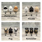 Pet Hospital Play Set