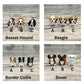 Pet Hospital Play Set