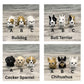 Pet Hospital Play Set