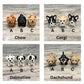 Pet Hospital Play Set