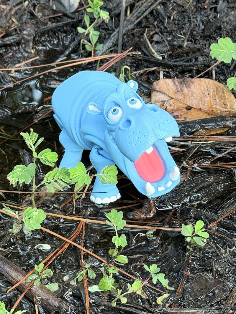 Flexi Hippo