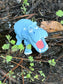Flexi Hippo