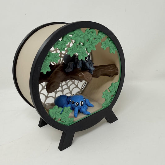 Spider Terrarium With Spiders