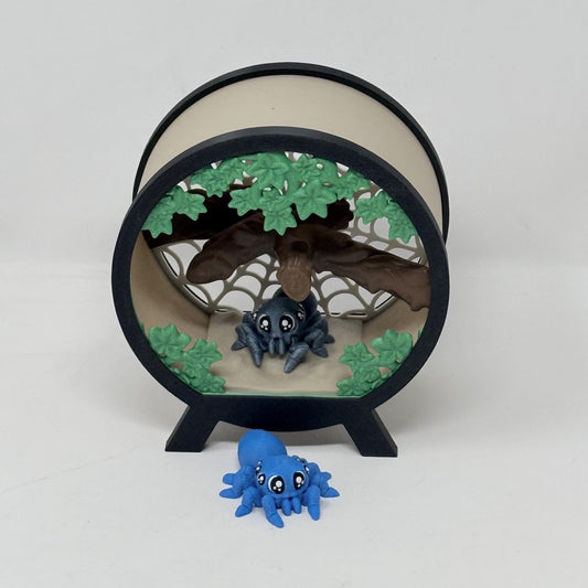 Spider Terrarium With Spiders
