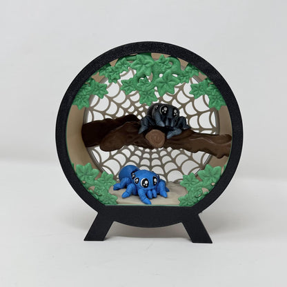 Spider Terrarium With Spiders