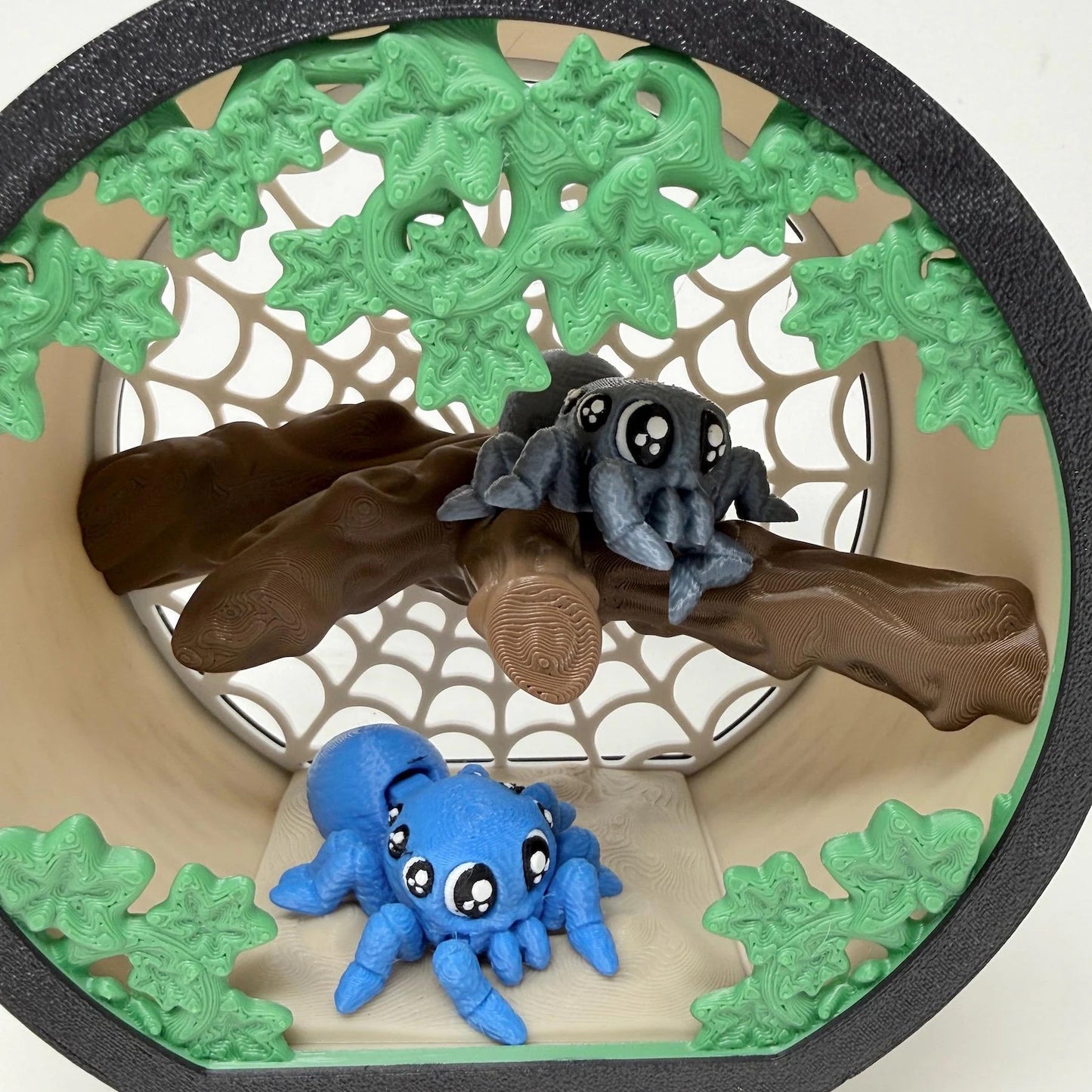Spider Terrarium With Spiders