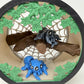 Spider Terrarium With Spiders