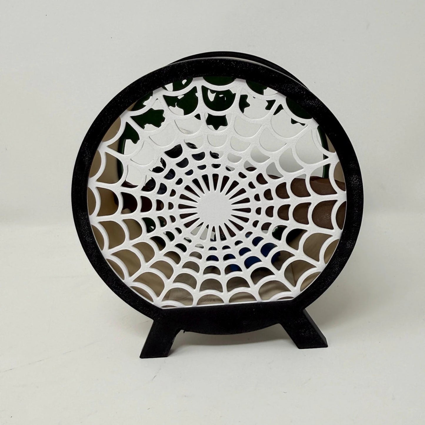Spider Terrarium With Spiders