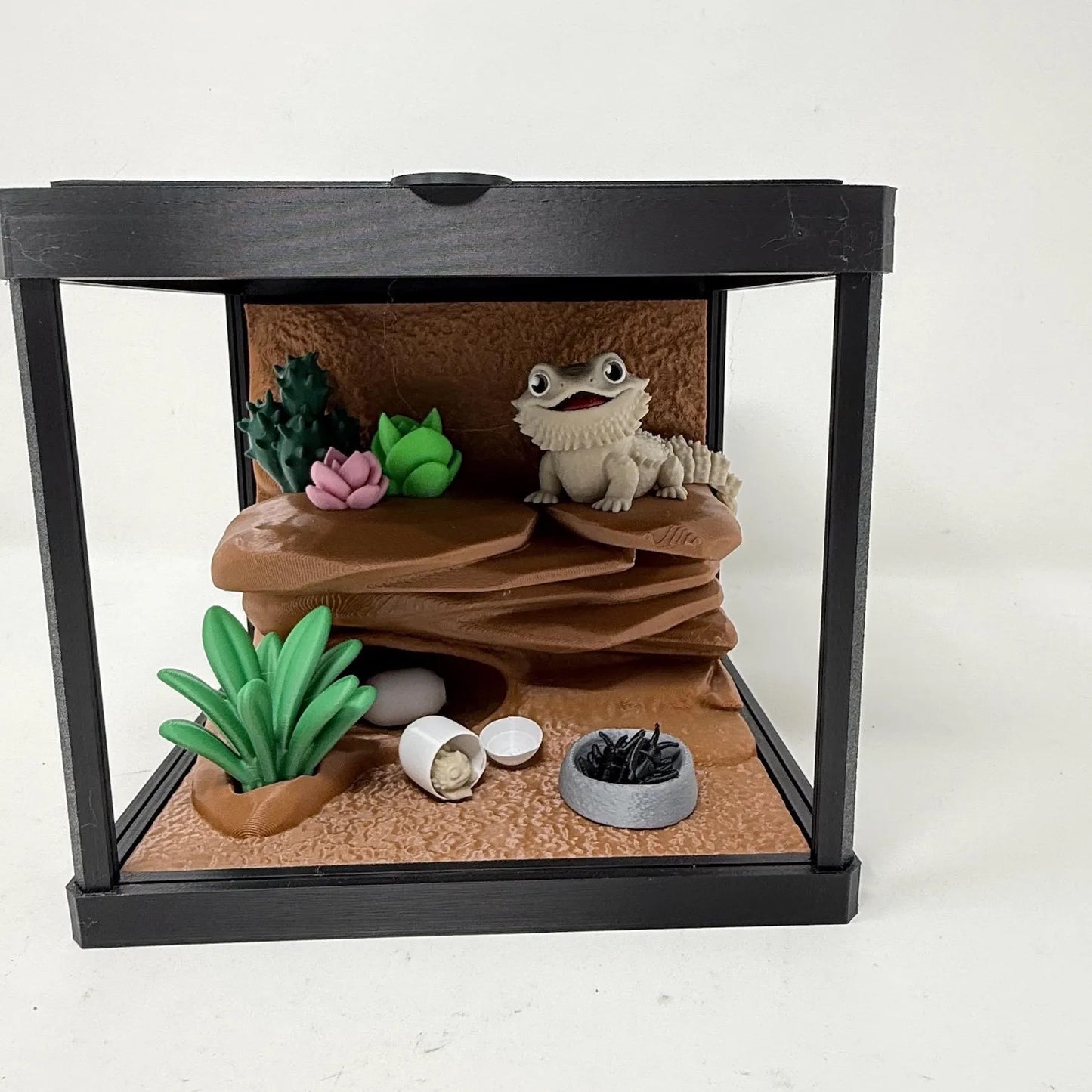 Bearded Dragon Terrarium With Lift Lid And Crackable Egg
