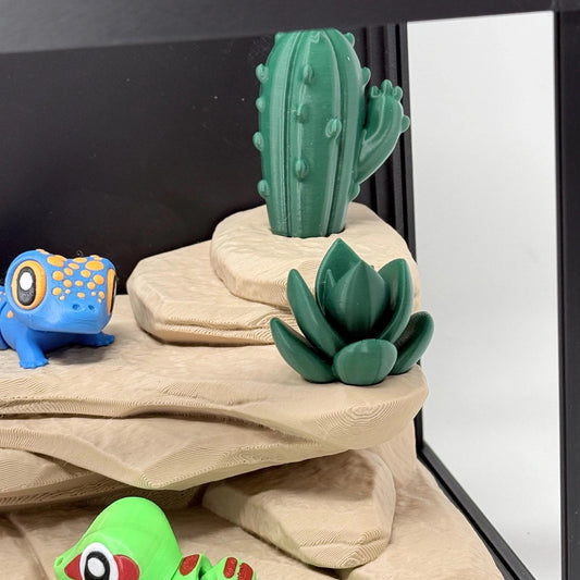 Gecko Terrarium with Lift Lid