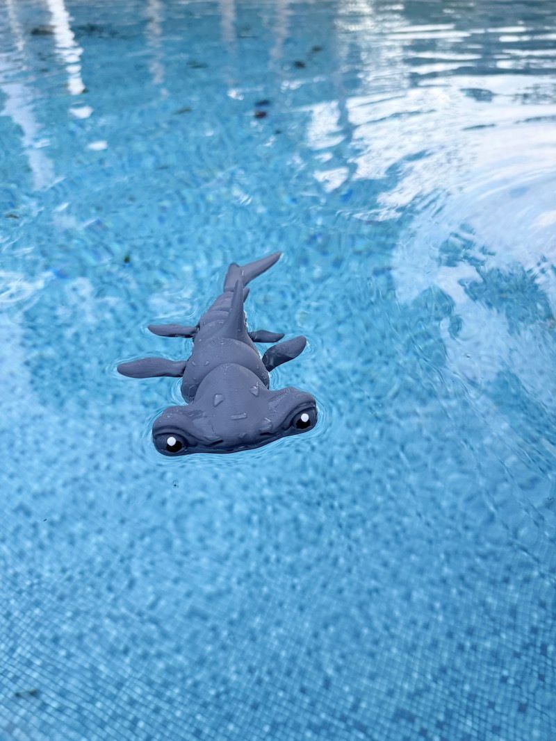 Flexi Hammerhead Shark