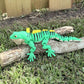 Iguana