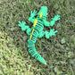 Iguana