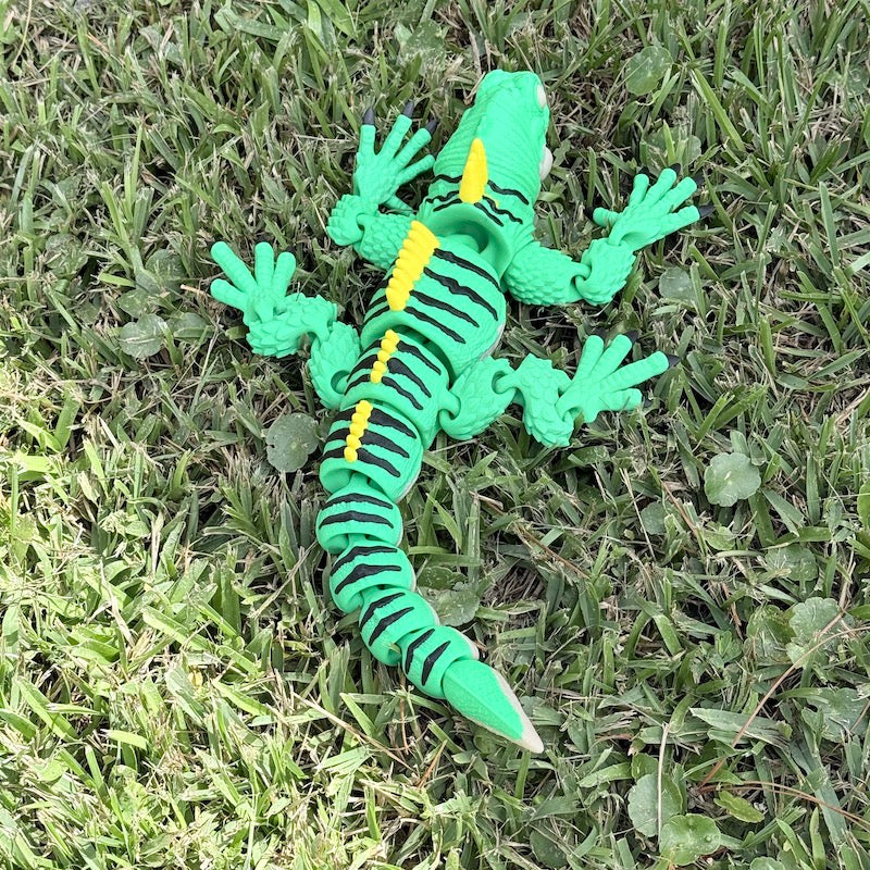 Iguana