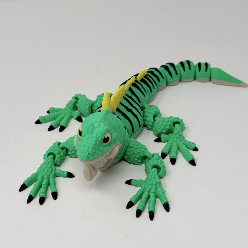 Iguana