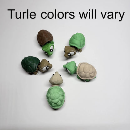 Turtle Zen Garden